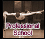 Professional program
