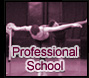 Professional program